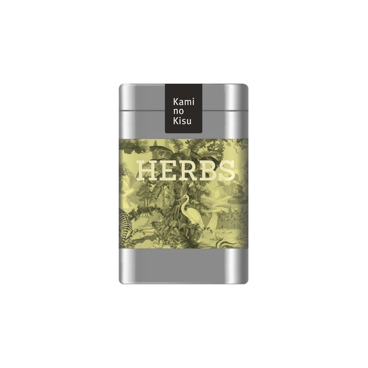 Balance – Yoga Moringa, Ceai Organic din Plante