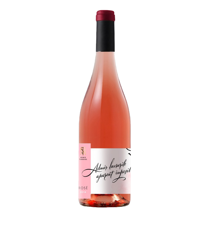 Minis Terrios Rosé Merlot 0.75L
